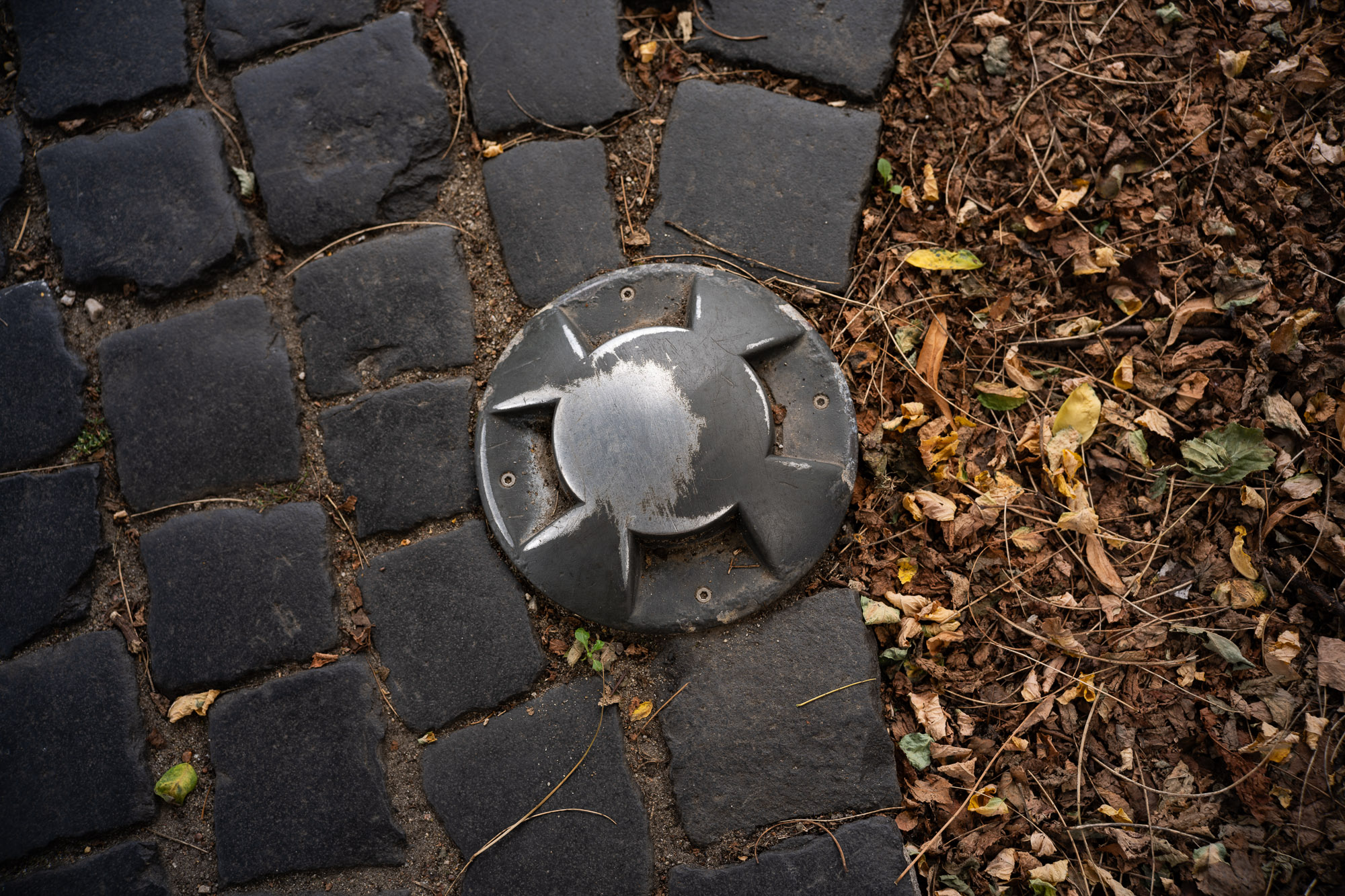 Obiektyw Voigtlander Nokton II 50 mm f/1,2 do Leica M